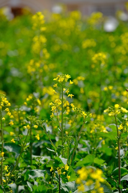 rape law firms Portland OR