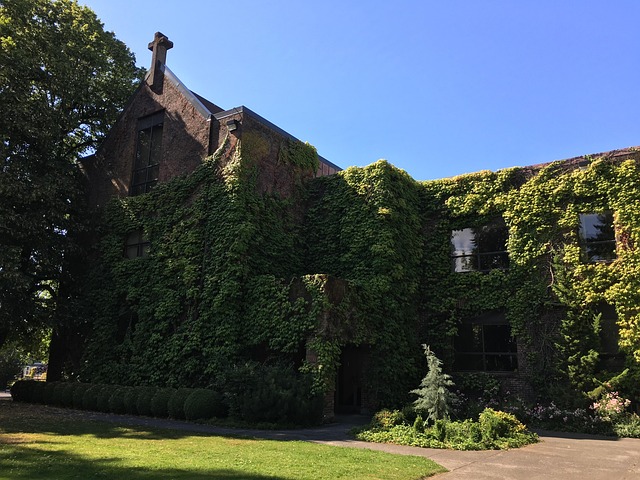 rape law firms Portland OR