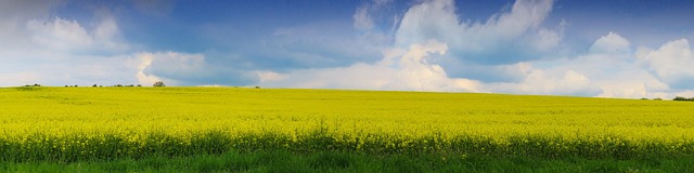 rape lawyers Portland OR