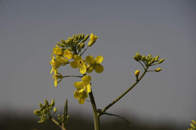 rape lawyers Portland OR