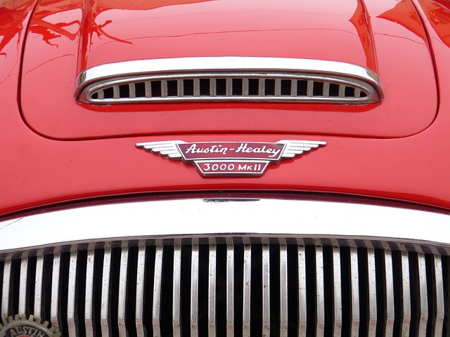 lawyer,lawsuit,Austin TX