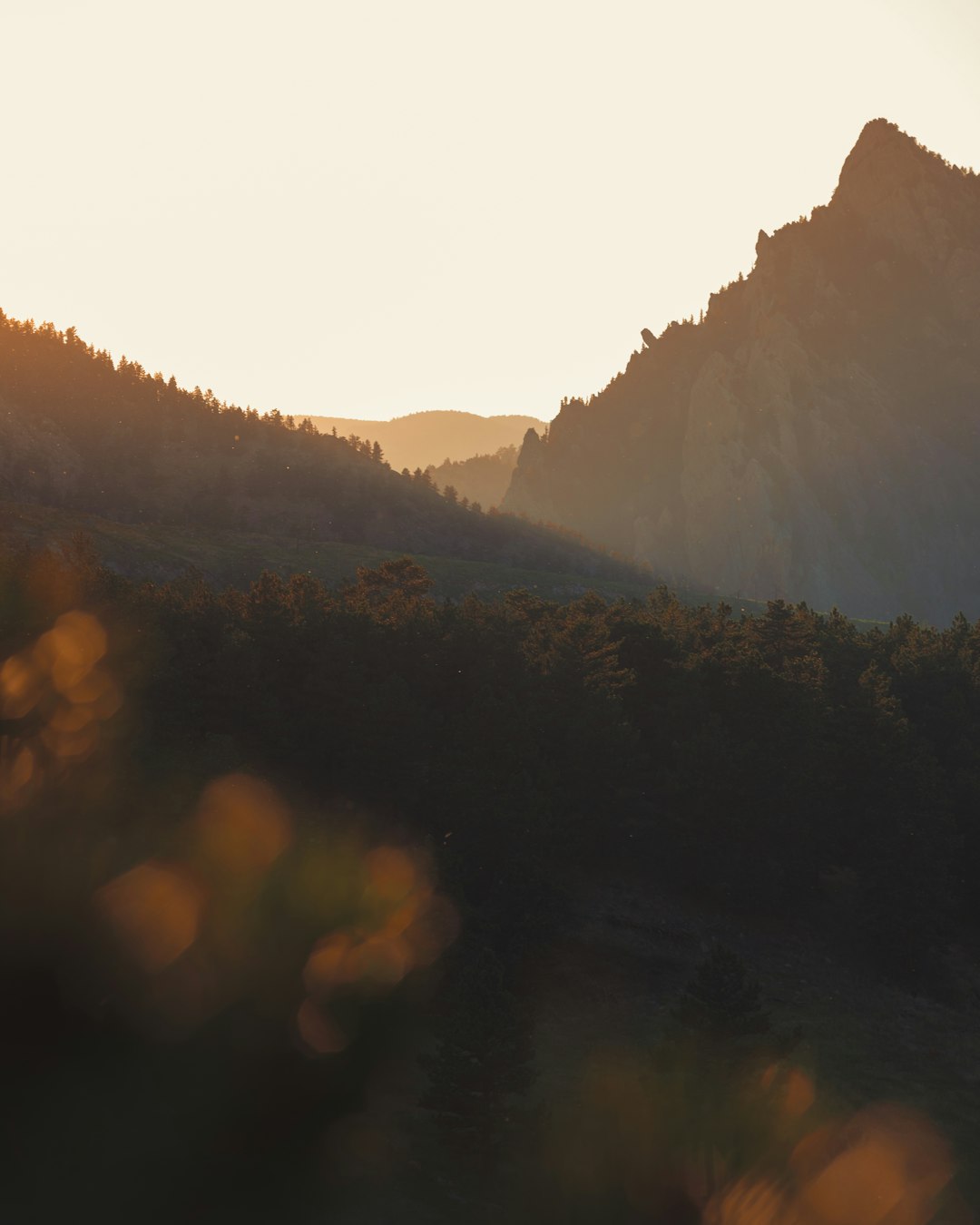 lawyer,lawsuit,Colorado