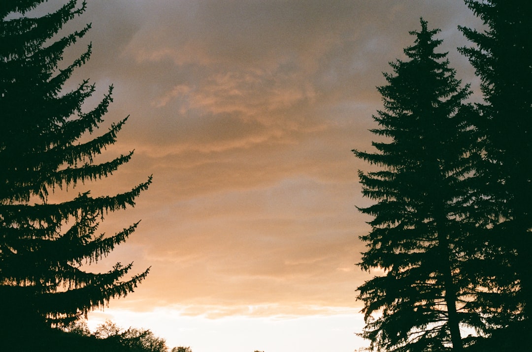 lawyer,lawsuit,Colorado