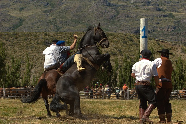 lawyer,lawsuit,cruise ship,Philadelphia PA
