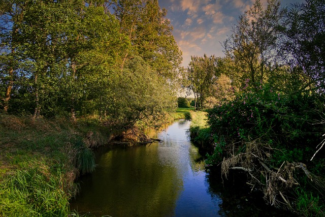 lawyer,lawsuit,Dallas TX