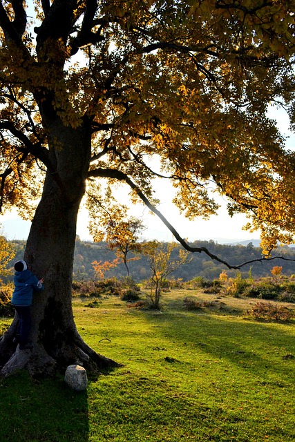 lawyer,lawsuit,Georgia