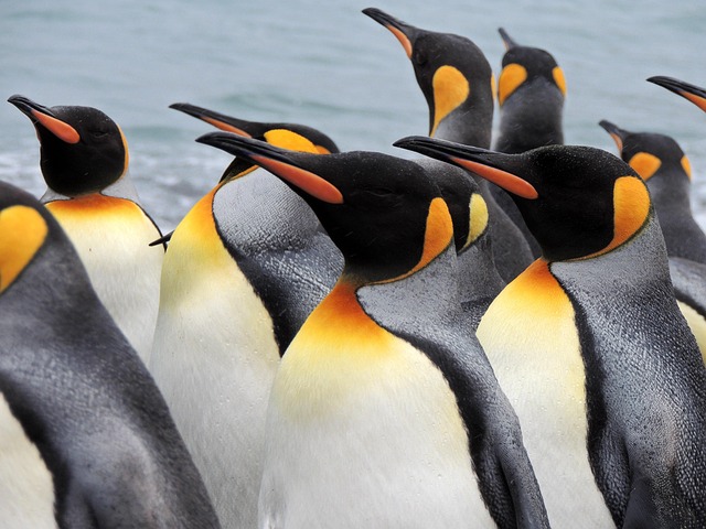 lawyer,lawsuit,Georgia