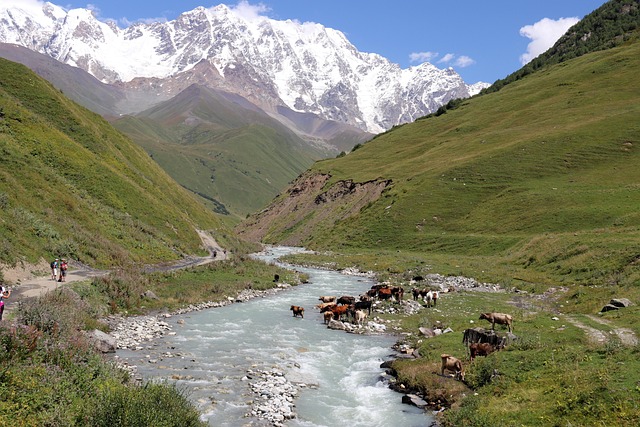 lawyer,lawsuit,Georgia