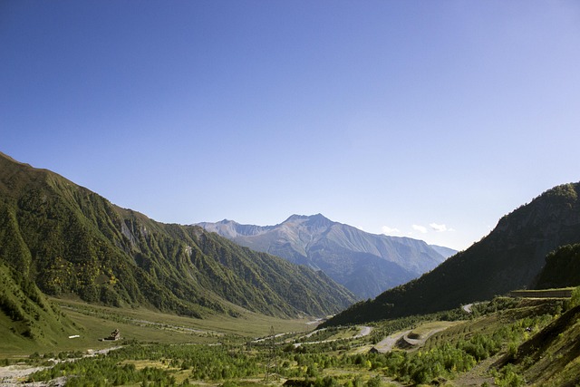 lawyer,lawsuit,Georgia