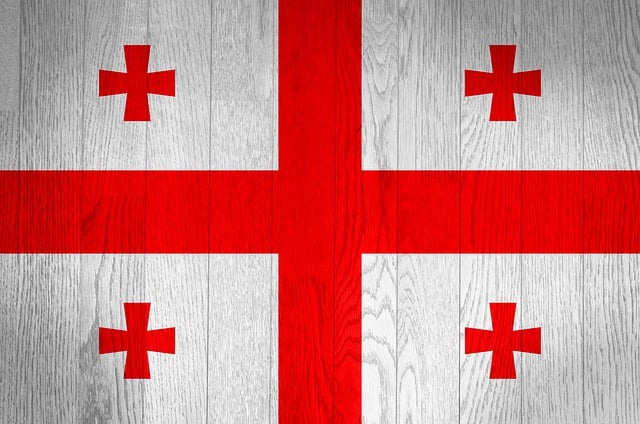 lawyer,lawsuit,Georgia