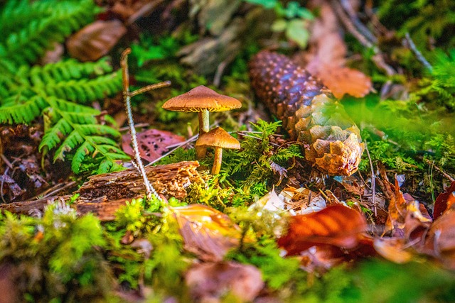 lawyer,lawsuit,Indianapolis IN