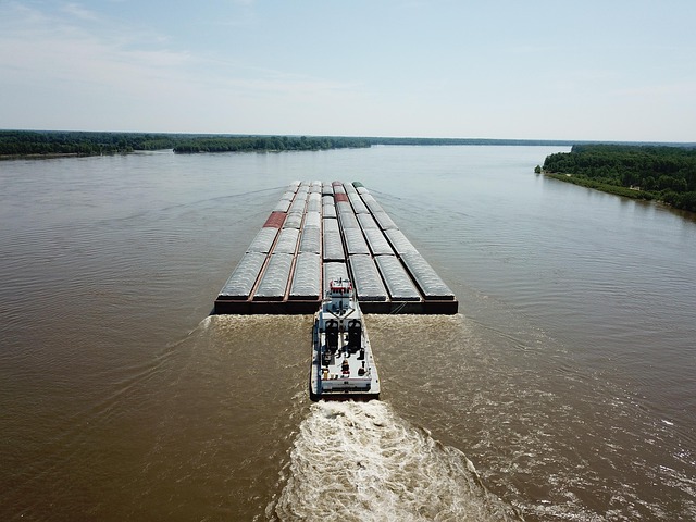 lawyer,lawsuit,Mississippi