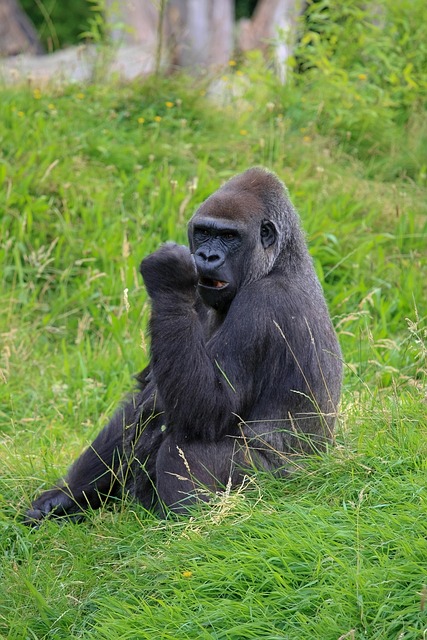 lawyer,lawsuit,New Jersey