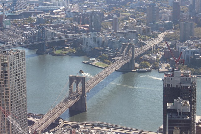 lawyer,lawsuit,New York