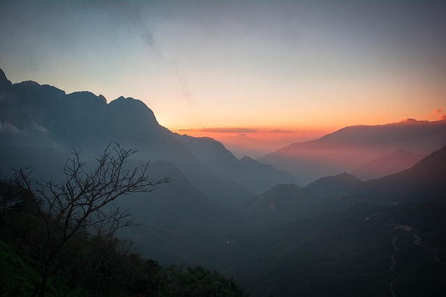 lawyer,lawsuit,nursing home,Philadelphia PA