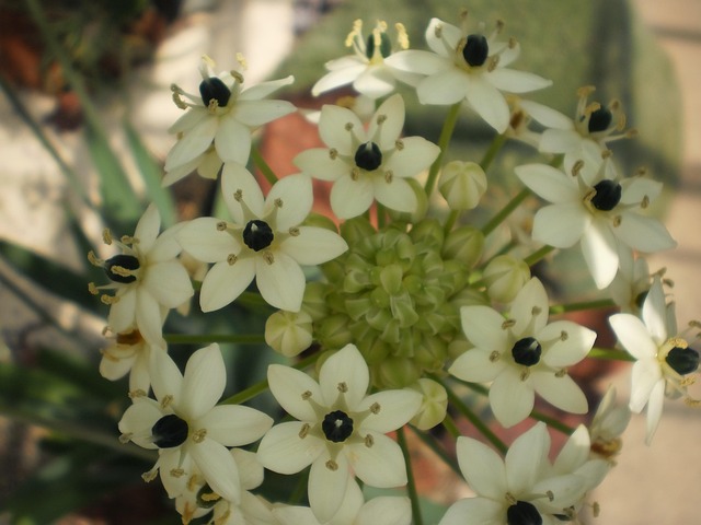 lawyer,lawsuit,nursing home,South Carolina