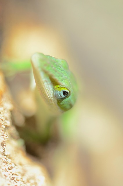 lawyer,lawsuit,nursing home,South Carolina