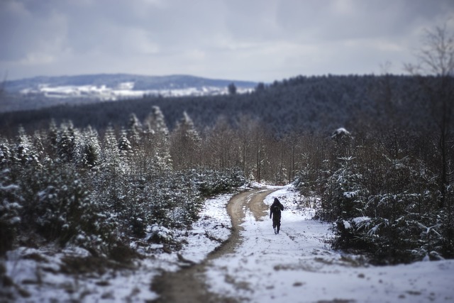 lawyer,lawsuit,San Diego CA