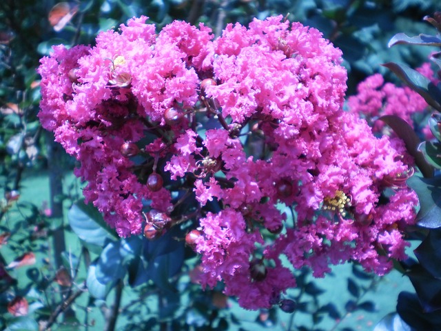 lawyer,lawsuit,South Carolina