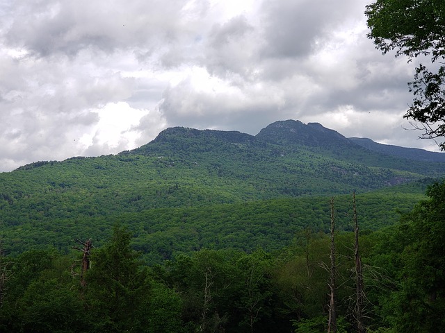 lawyer,lawsuit,South Carolina