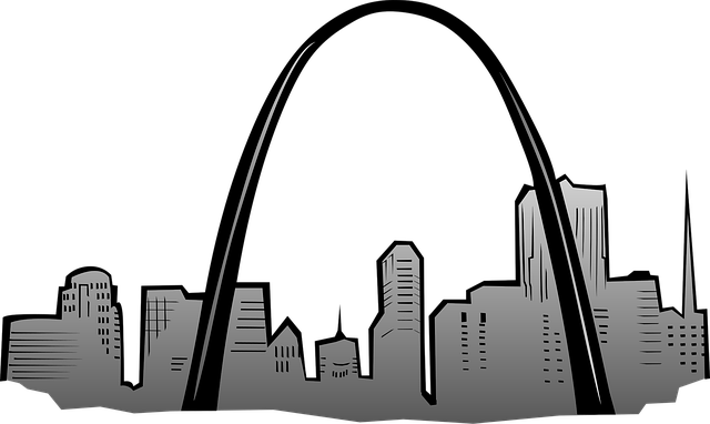 lawyer,lawsuit,St. Louis MO