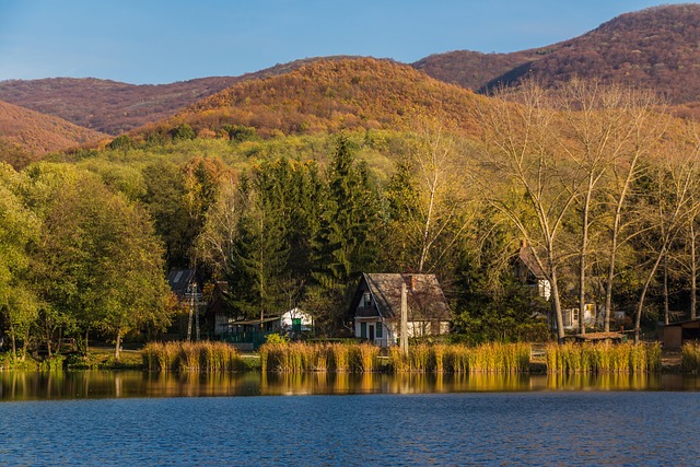 lawyer,lawsuit,St. Louis MO