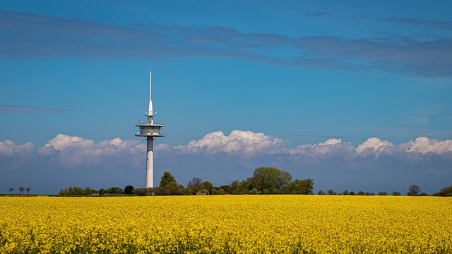 rape attorney Portland OR