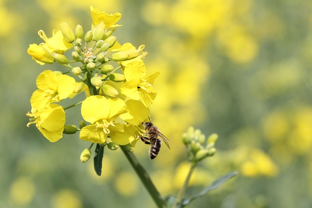 rape attorneys Portland OR