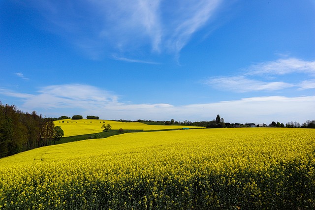 rape attorneys Portland OR