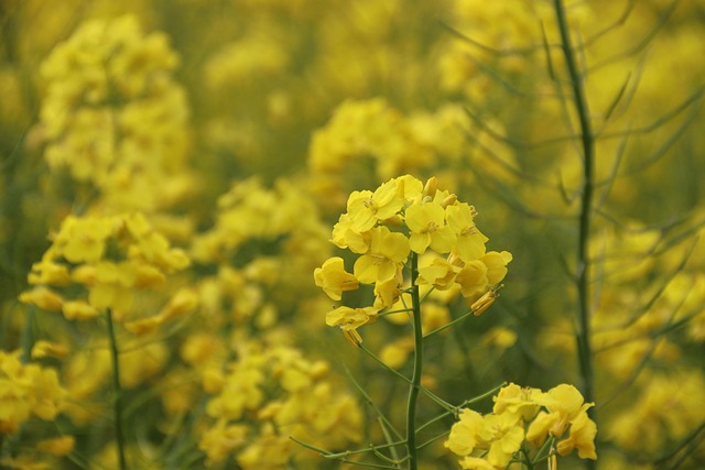 rape attorneys Portland OR