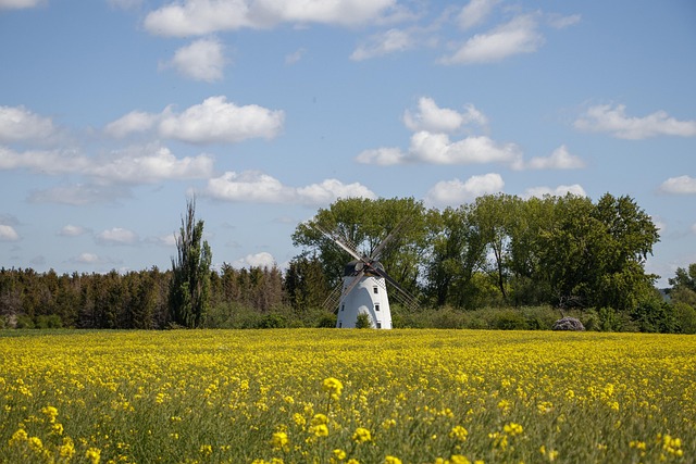 rape law firm Portland OR