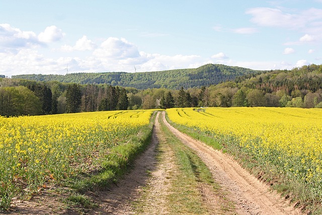 rape law firm Portland OR