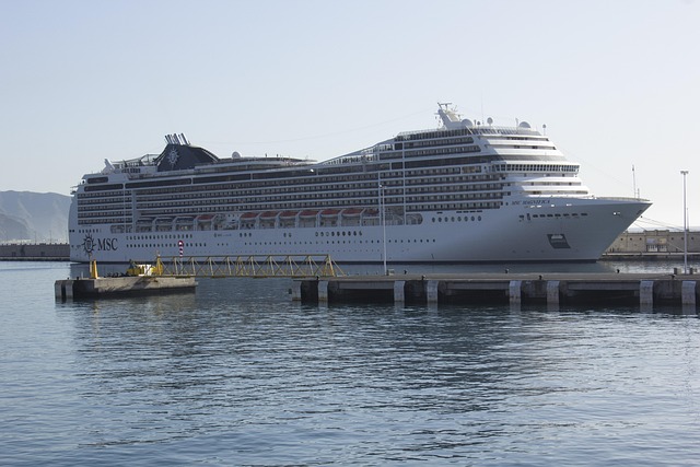 cruise ship