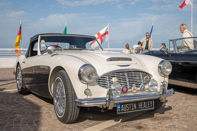 lawyer,lawsuit,Austin TX