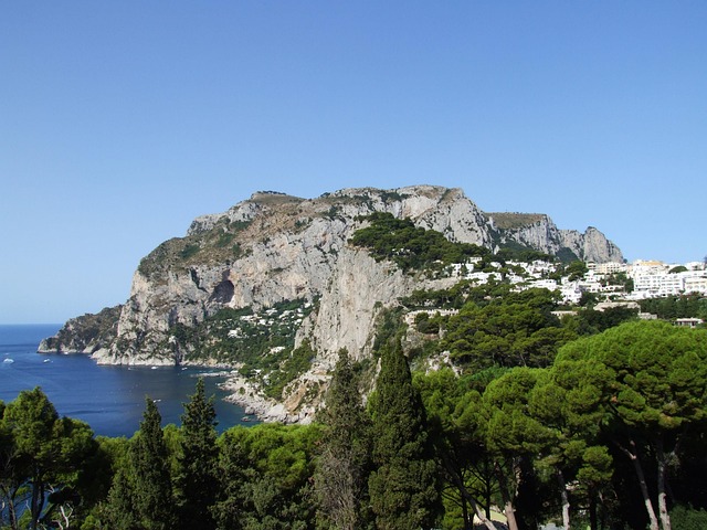 lawyer,lawsuit,Chicago IL