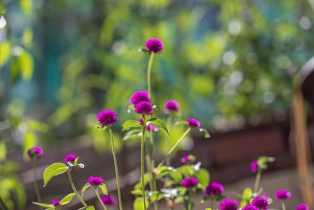 lawyer,lawsuit,Chicago IL