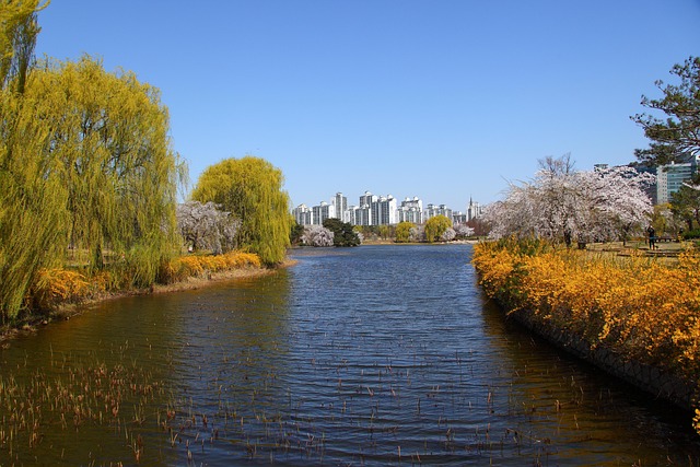 lawyer,lawsuit,Chicago IL