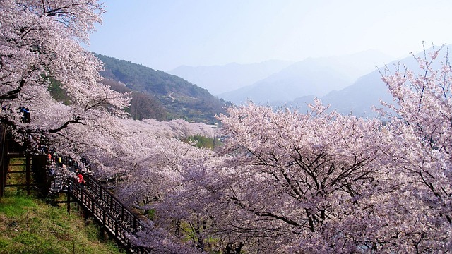 lawyer,lawsuit,Cleveland OH