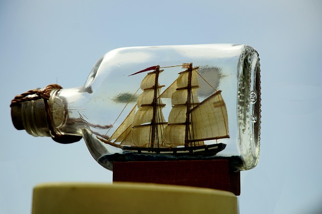 lawyer,lawsuit,cruise ship,Indianapolis IN