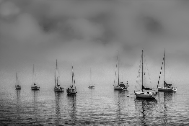 lawyer,lawsuit,cruise ship,San Francisco CA