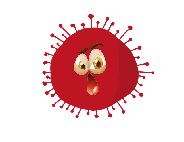 lawyer,lawsuit,Denver CO