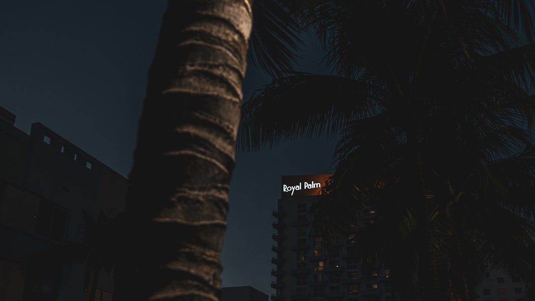 lawyer,lawsuit,Florida