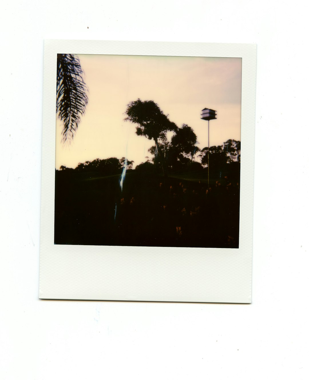 lawyer,lawsuit,Florida