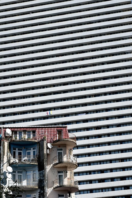 lawyer,lawsuit,Georgia