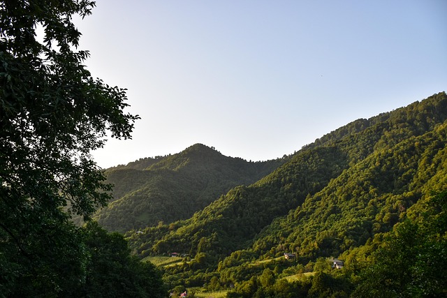 lawyer,lawsuit,Georgia