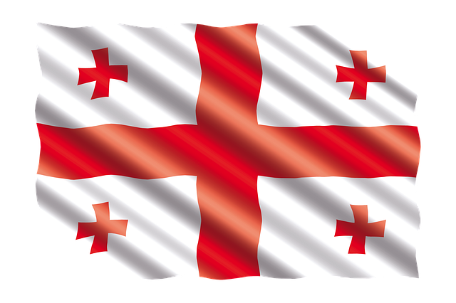 lawyer,lawsuit,Georgia