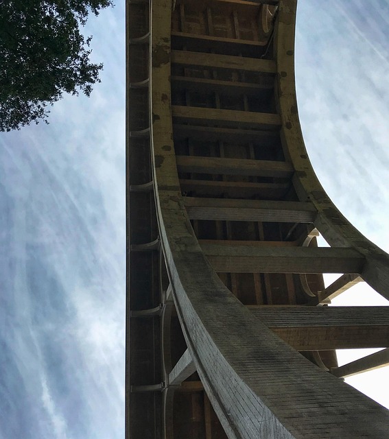 lawyer,lawsuit,Los Angeles CA