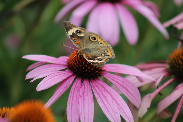 lawyer,lawsuit,New Jersey