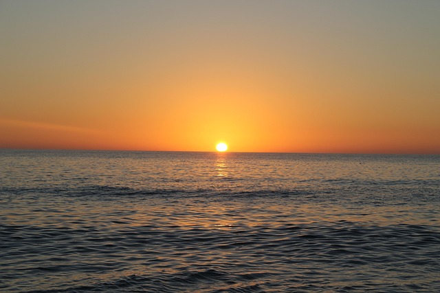 lawyer,lawsuit,nursing home,Florida