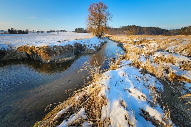 lawyer,lawsuit,nursing home,Houston TX